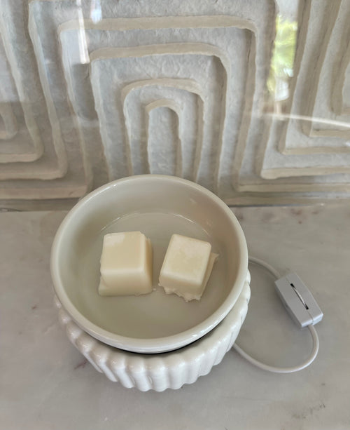 White ceramic dish with two pieces of soap on a marble surface, plugged into a white power adapter.